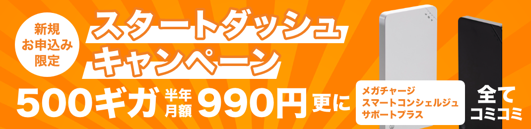 新規お申込みスタートダッシュキャンペーン